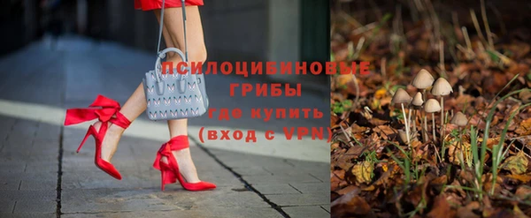 гашик Абаза